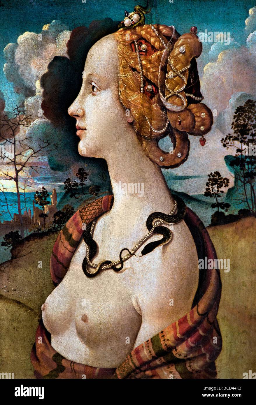 Piero di Cosimo 1462–1521 Ritratto Simonetta Vespucci 1480-1490 Italia Museo Italiano Chantilly , Francia , francese ( Ritratto di Simonetta Vespucci è un dipinto ad olio su tela del pittore rinascimentale italiano Piero di Cosimo ) Simonetta Vespucci era una nobildonna genovese che sposò Marco Vespucci di Firenze all'età di 15 o 16 anni, e che era rinomata per essere la più grande bellezza della sua età - certamente della città di Firenze Foto Stock