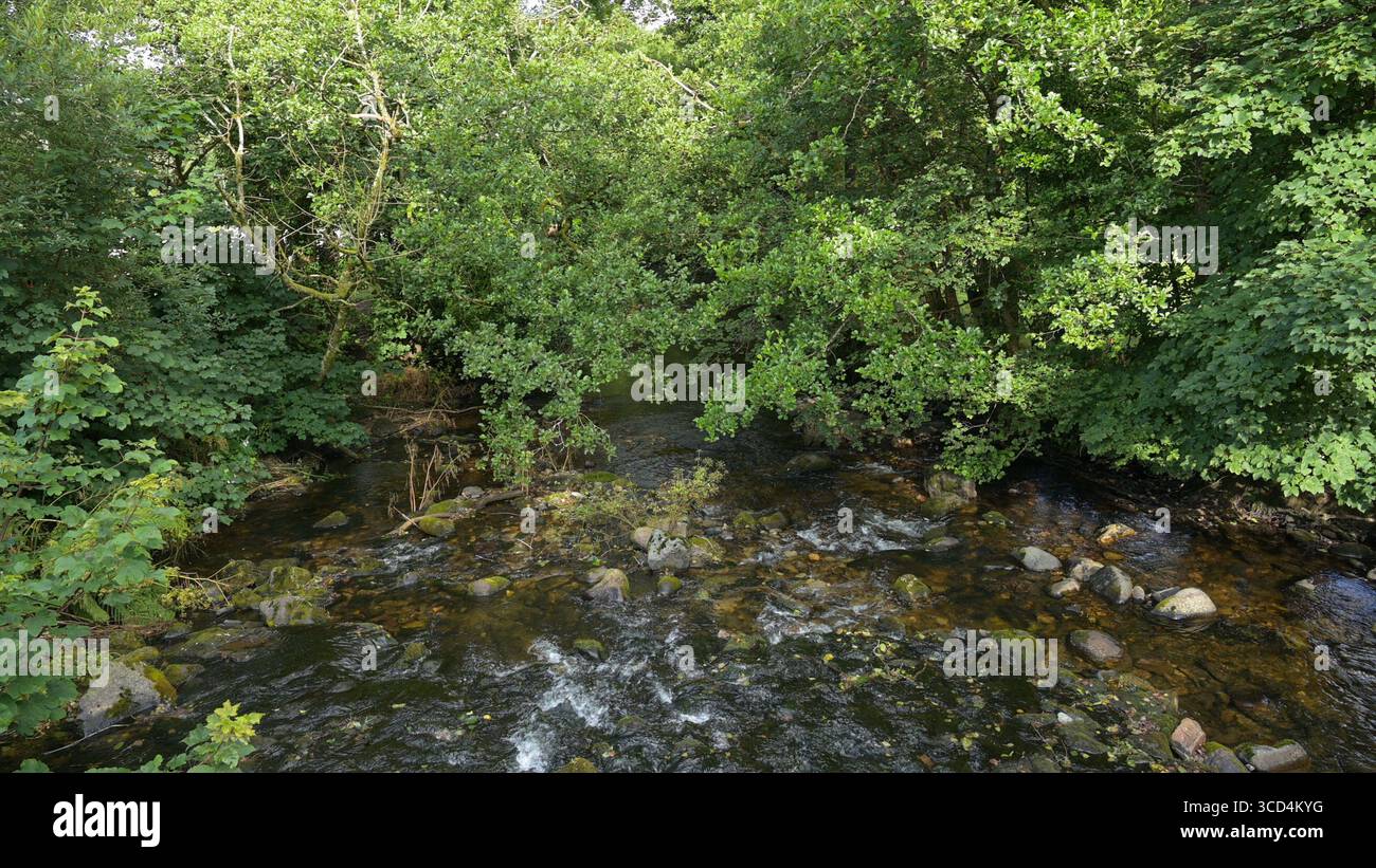 Sezione con tunnel di Eastern Cleddau a Rhydwilm, Pembrokeshire, Galles, Regno Unito Foto Stock