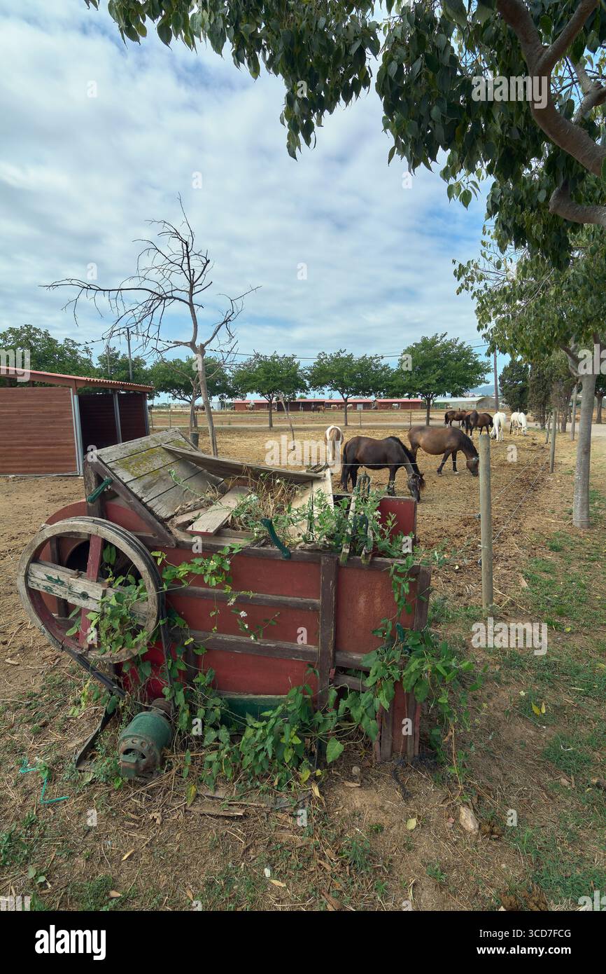 Questa immagine contrasta la bellezza rustica di un vecchio carro abbandonato con la vita serena dei cavalli in un ambiente naturale di fattoria. È perfetto per l'illustrazione Foto Stock
