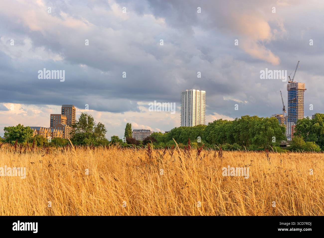 Gli sviluppi urbani di Hale Wharf e Windlass visti da Tottenham Marshes, North London, Regno Unito. Rigenerazione e spazi verdi a Londra. Foto Stock