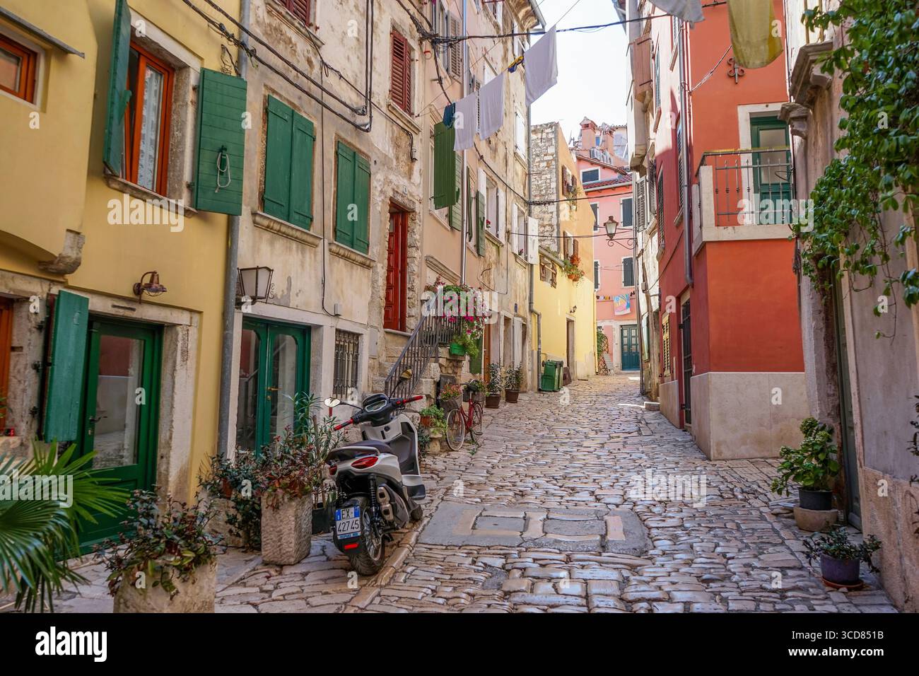 Rovigno, Croazia Foto Stock
