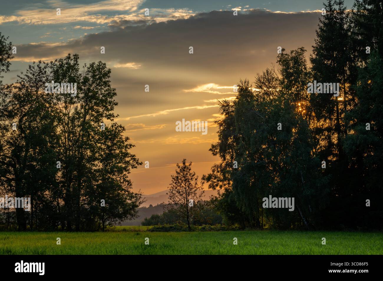 Tramonto sul campo di grano secco caldo estivo e prato verde sulle montagne di Krkonose Foto Stock
