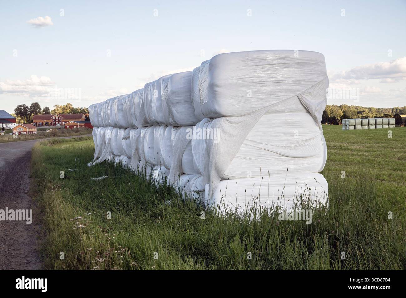 mangimi per animali appena raccolti avvolti in plastica (mangimi invernali). Foto Stock
