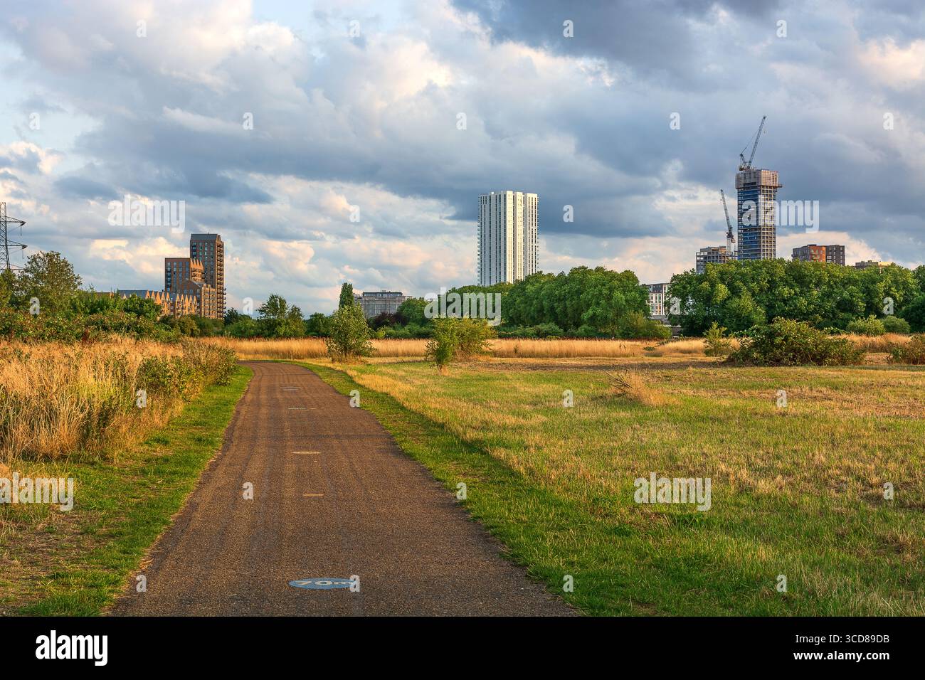 Gli sviluppi urbani di Hale Wharf e Windlass visti da Tottenham Marshes, Londra, Regno Unito. Rigenerazione e spazi verdi a Londra. Verde urbano. Foto Stock