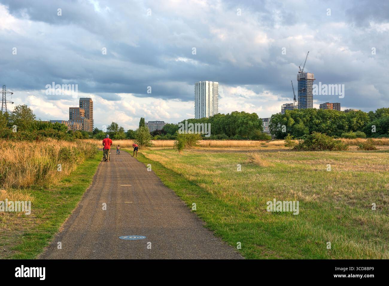 Gli sviluppi urbani di Hale Wharf e Windlass visti da Tottenham Marshes, Londra, Regno Unito. Rigenerazione e spazi verdi a Londra. Verde urbano. Foto Stock