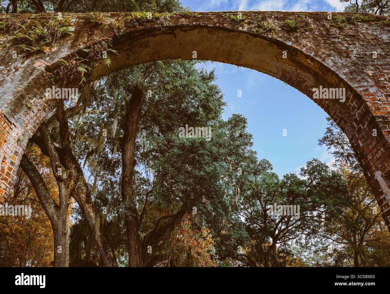 Arco in mattoni nella vecchia chiesa di sheldon, nel South carolina Foto Stock