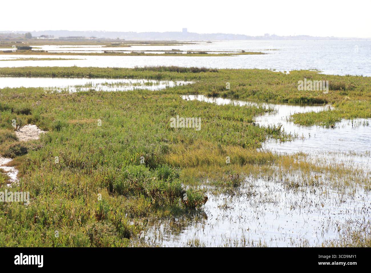 Porto delle ostriche di Gujan-Mestras, la capitale delle ostriche del bacino di Arcachon. Francia. Foto Stock