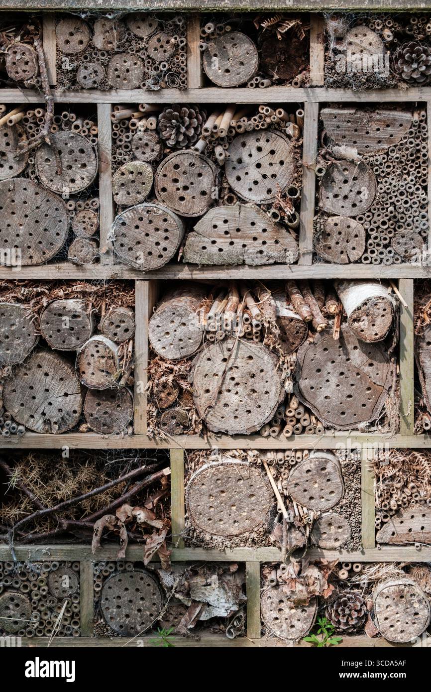 Hotel di insetti realizzato con tronchi di legno impilati con fori forati, che fornisce un habitat naturale per api solitarie e impollinatori in un giardino faunistico. Foto Stock