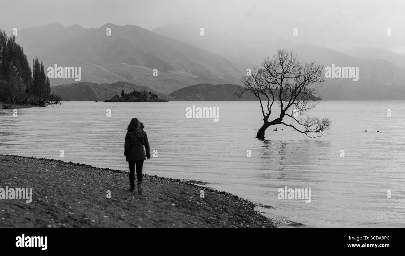 Il Lonely Wanaka Tree in the Lake Foto Stock