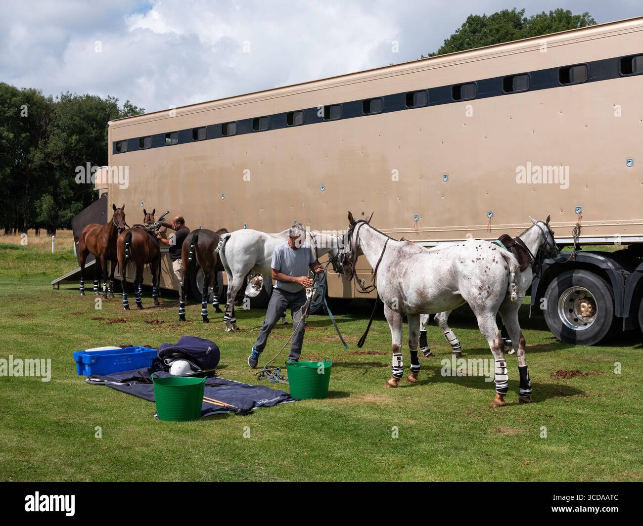 Allevatori di cavalli che preparano cavalli a un evento di polo presso il campo di polo Phoenix Park nella città di Dublino, Irlanda. Foto Stock