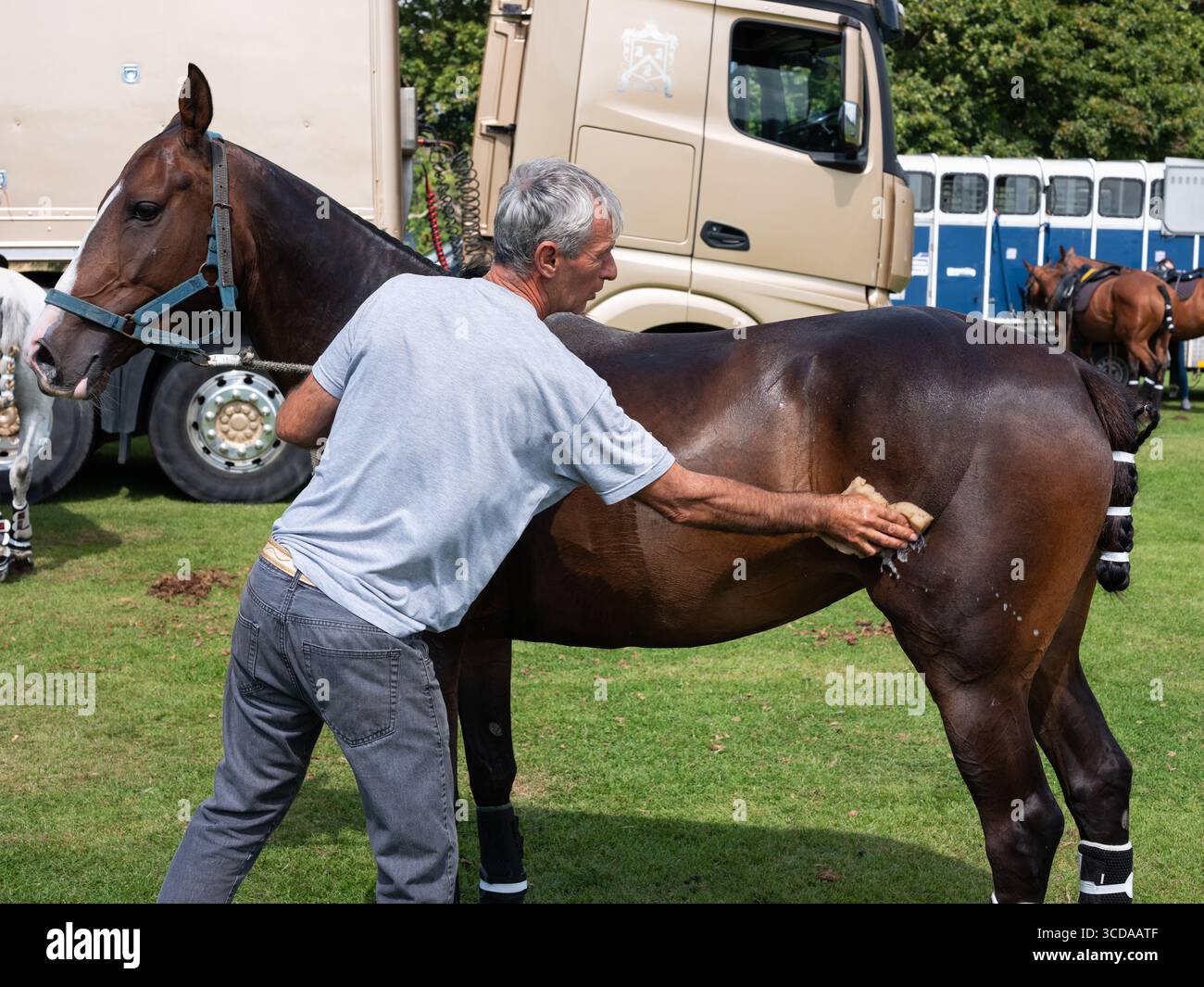 Allevatori di cavalli che preparano cavalli a un evento di polo presso il campo di polo Phoenix Park nella città di Dublino, Irlanda. Foto Stock
