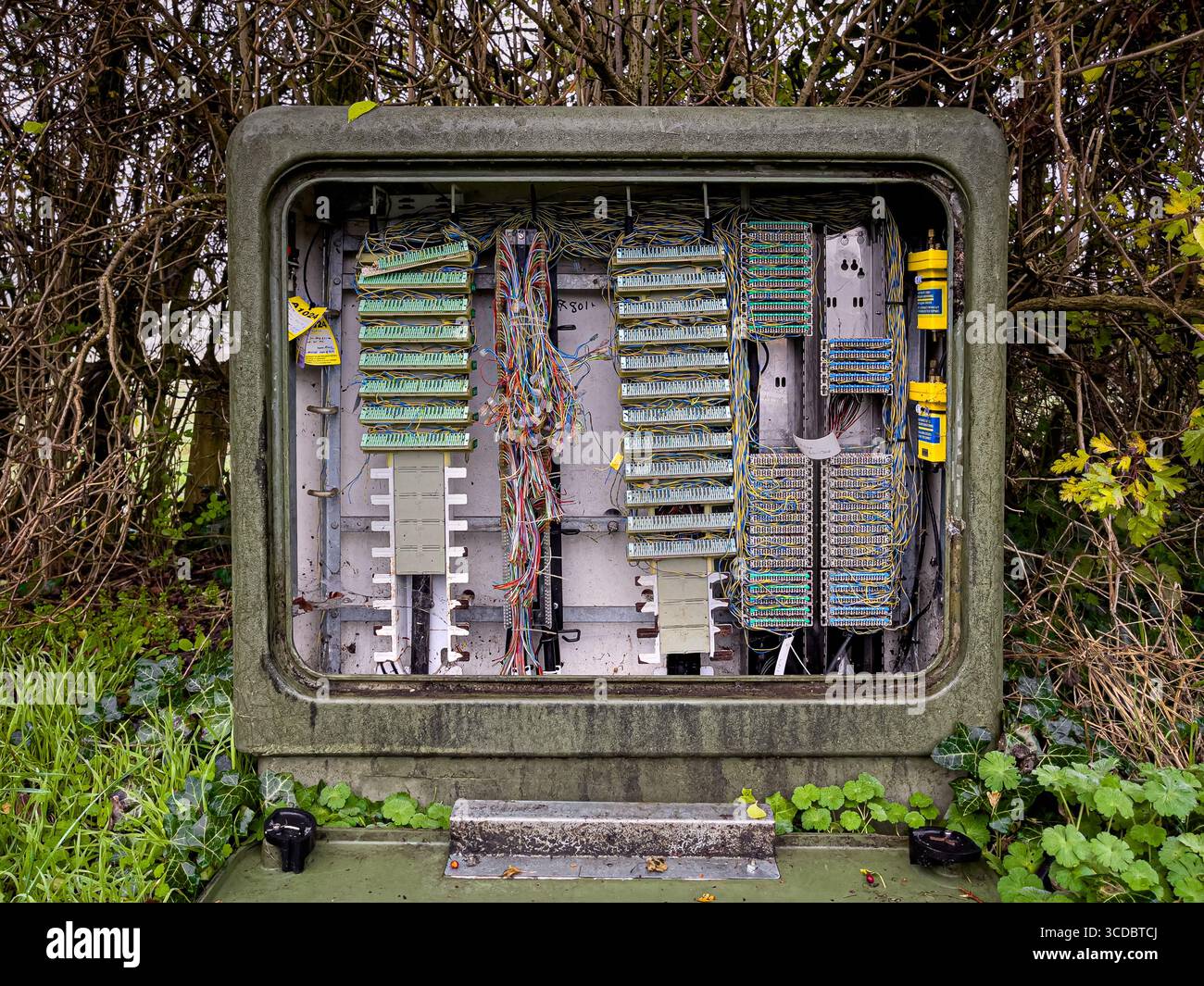 Scatola per telecomunicazioni vandalizzata con cavi telefonici esposti e collegamenti danneggiati. REGNO UNITO Foto Stock