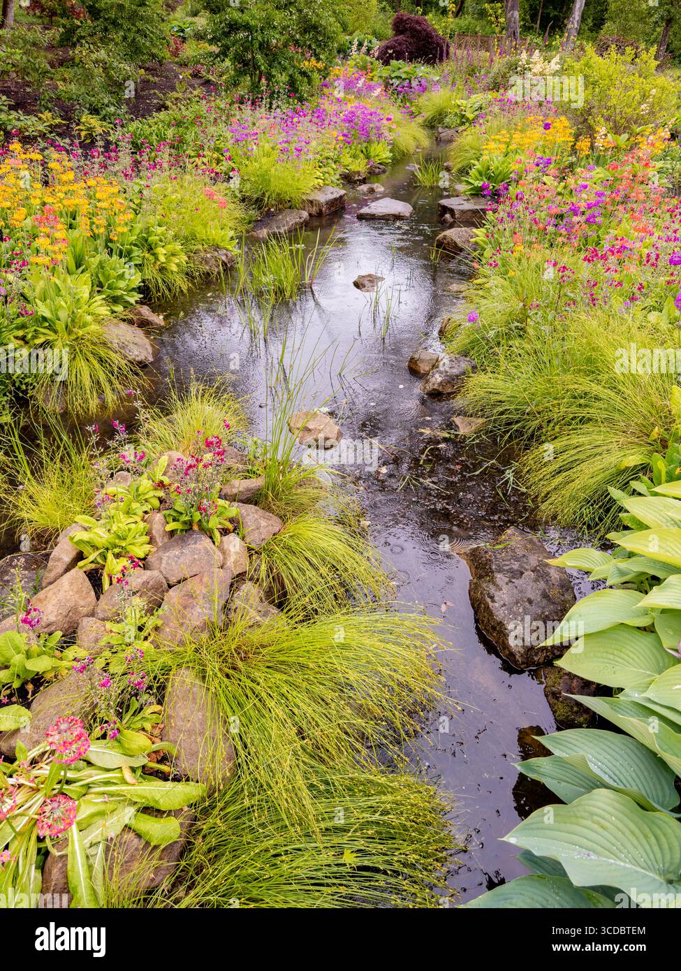 Chinese Streamside Garden presso RHS Bridgewater, in un giorno primaverile sotto la pioggia> Regno Unito Foto Stock