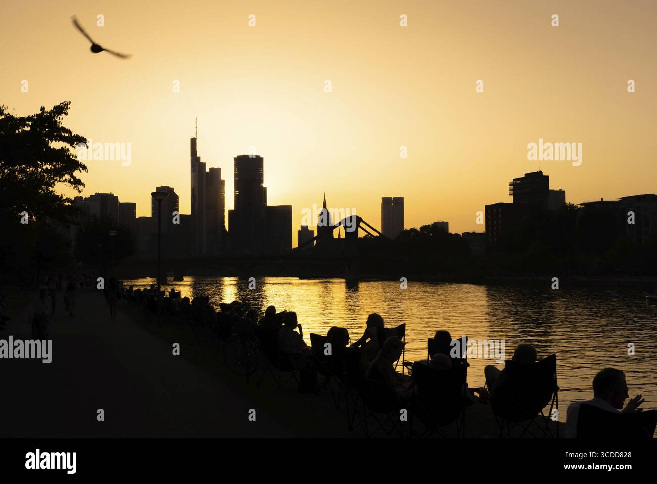 Persone sedute sulle rive del meno la sera mentre il sole tramonta dietro lo skyline bancario di Francoforte, Francoforte sul meno, Assia, Germania Foto Stock