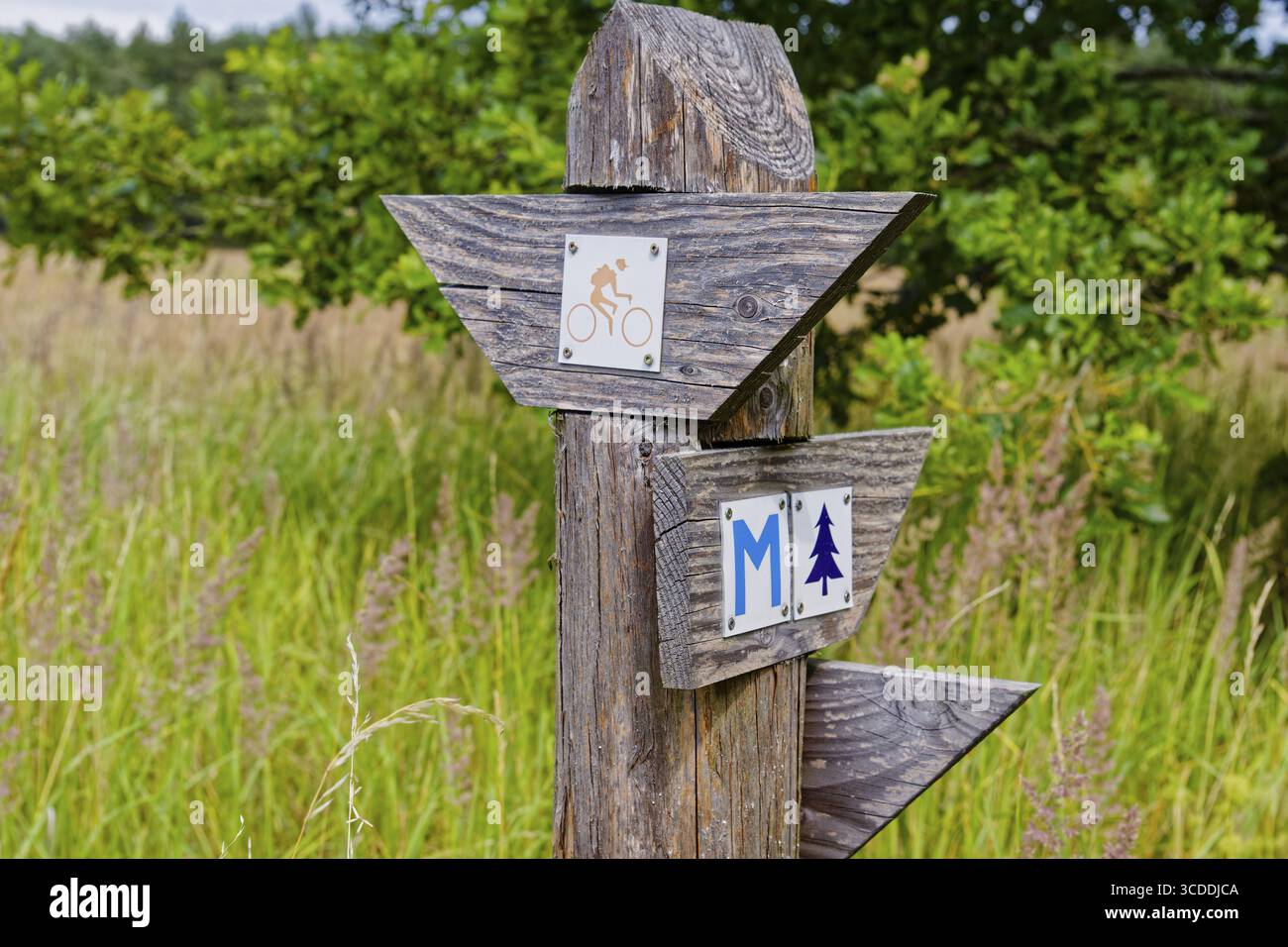 Cartello in legno nel Parco Nazionale di Mueritz vicino a Babke. Mirow, Meclemburgo-Pomerania occidentale, Germania Foto Stock