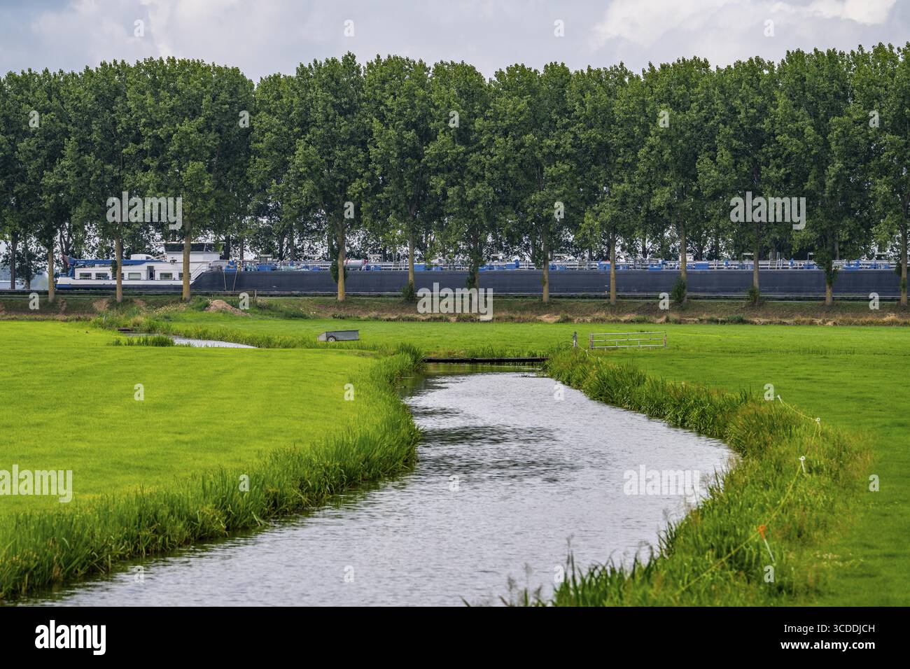 Il canale Amsterdam-Reno, Amsterdam-Rijnkanaal, lungo 72 km, collega il porto di Amsterdam con il Waal, il ramo più grande Foto Stock