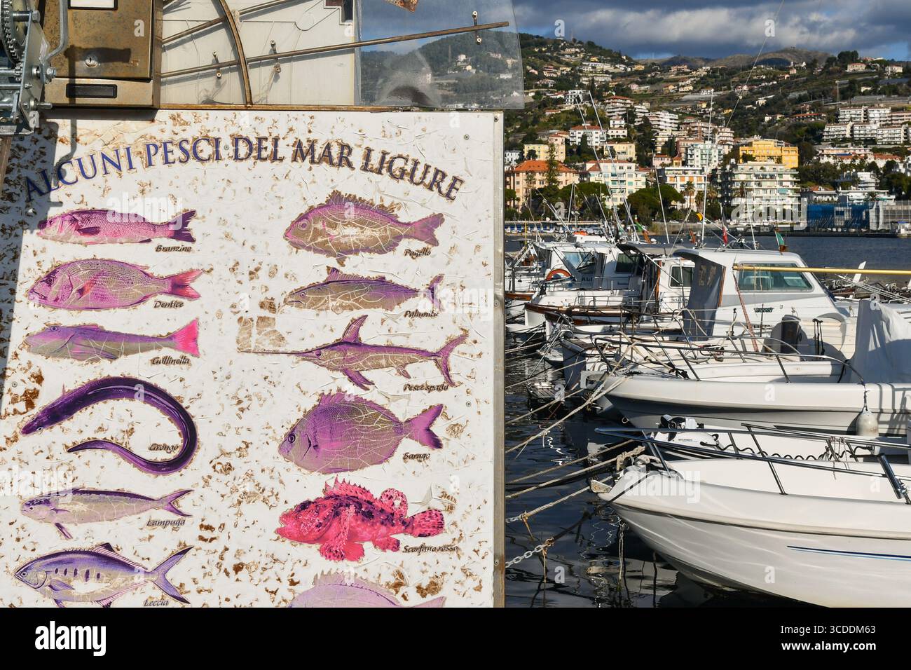 Un cartello arrugginito che mostra alcune varietà di pesci del Mar Ligure, su un molo del Porto Vecchio, Sanremo (Imperia), Liguria, Italia Foto Stock