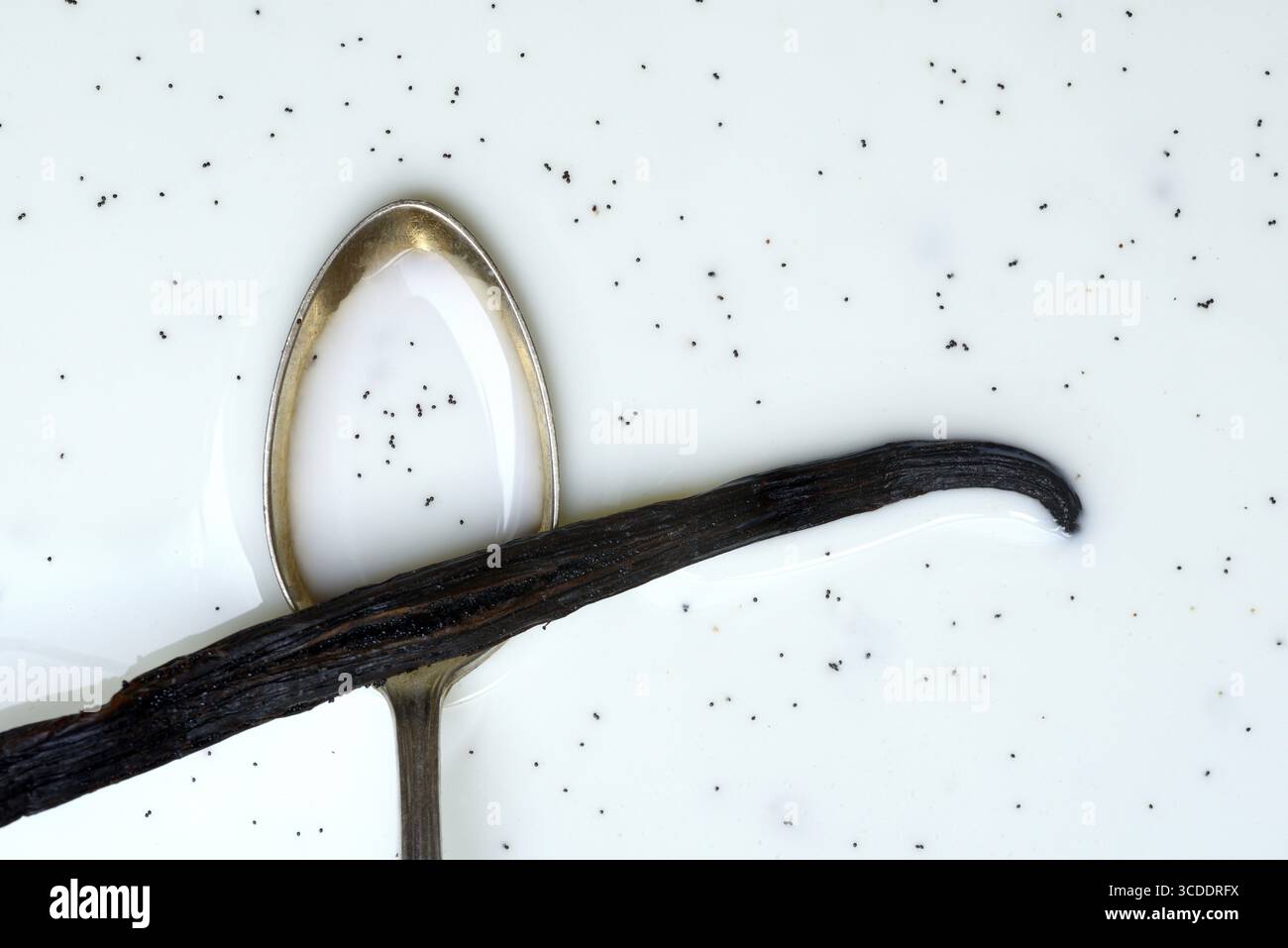 Cucchiaio con baccello di vaniglia, semi di vaniglia nel latte Foto Stock