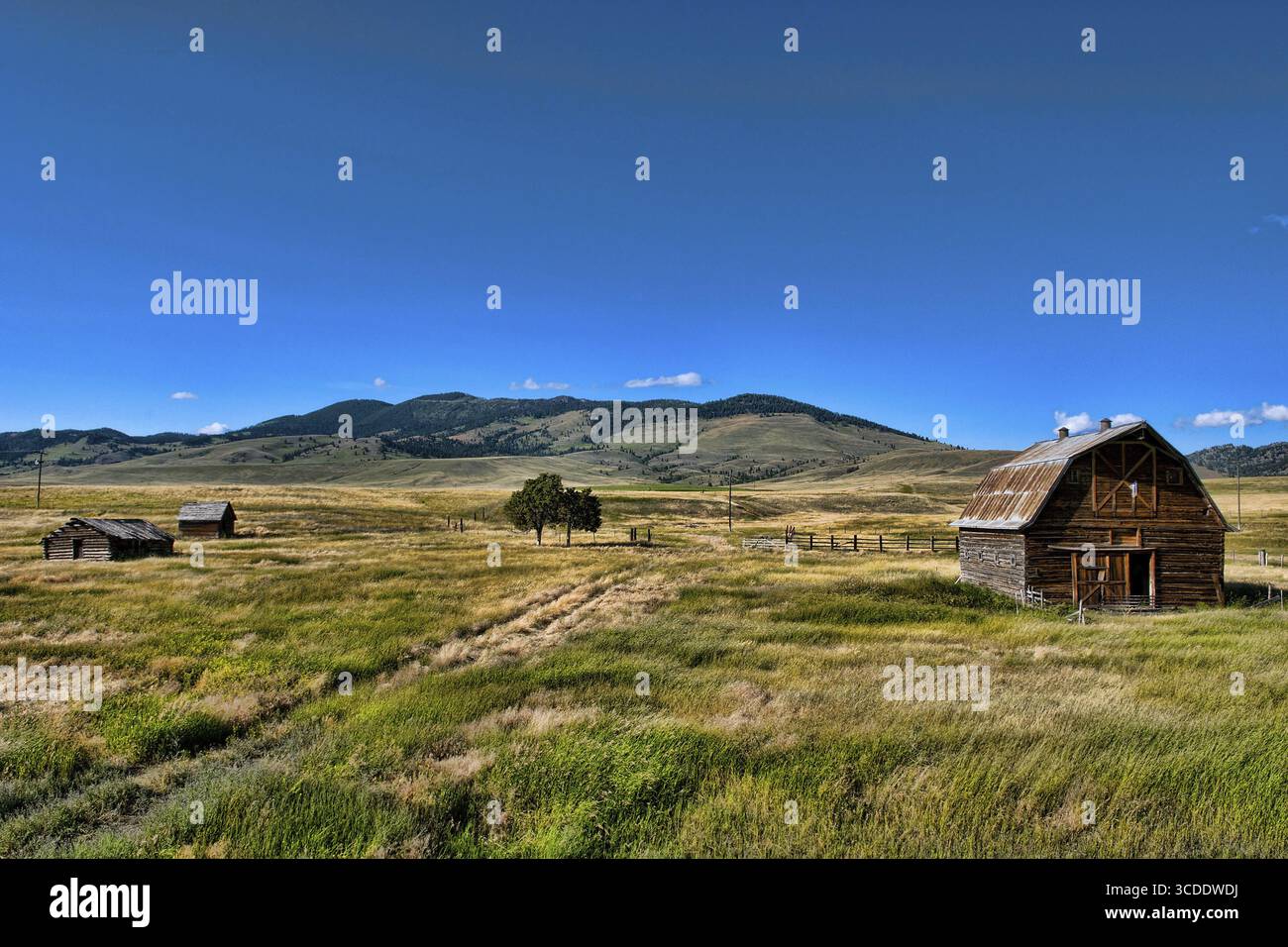 Vecchio capannone, fienile, fattoria, fattoria in Montana, edificio, STATI UNITI, STATI UNITI Foto Stock