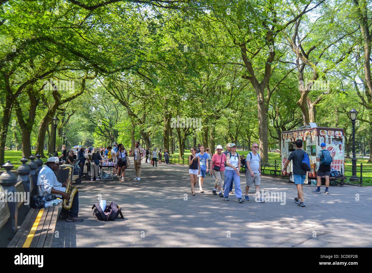 Atmosfera estiva a Central Park, New York City Foto Stock