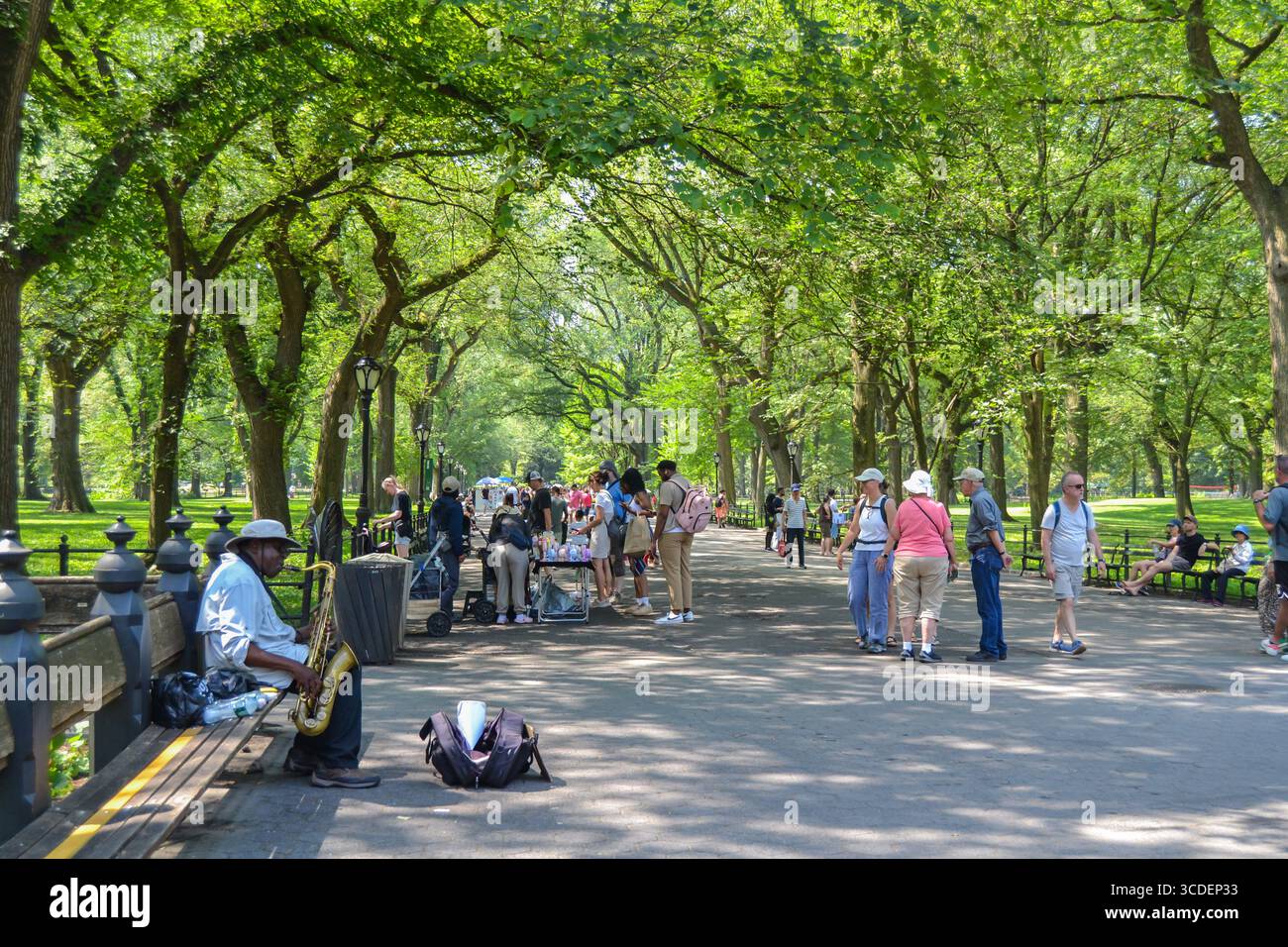 Atmosfera estiva a Central Park, New York City Foto Stock
