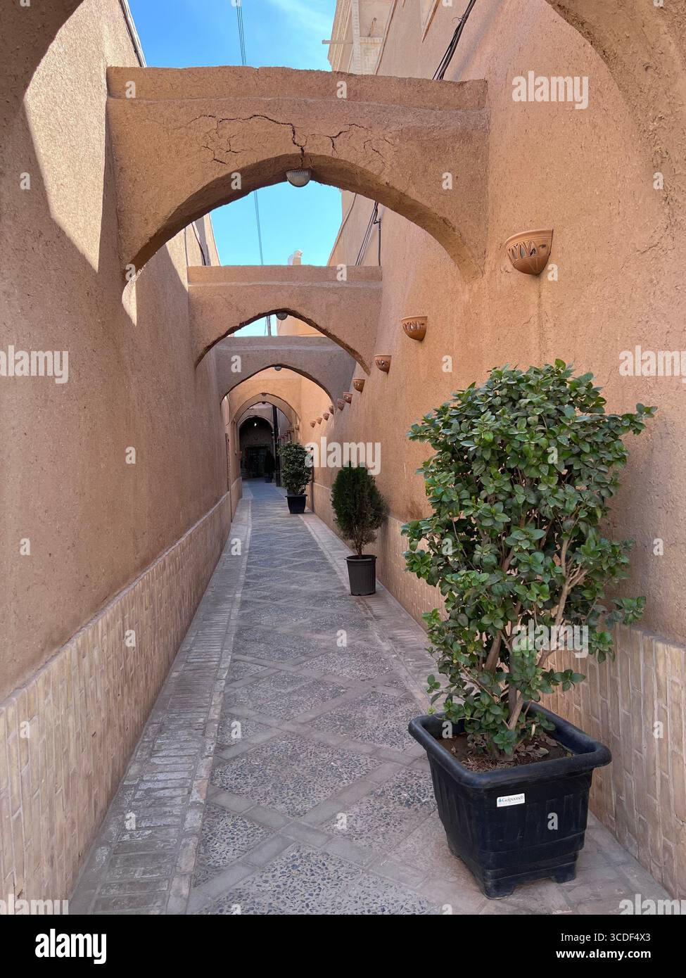 Storico vicolo Yazd con pareti in mattoni fangosi, archi e piante in vaso, un sereno esempio di eredità persiana. Foto Stock