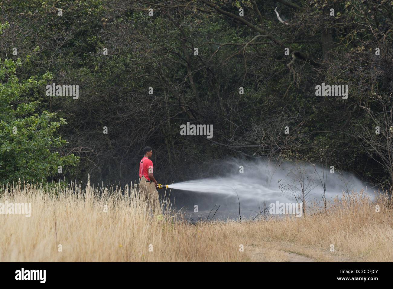 I vigili del fuoco della London Fire Brigade (LFB) smorzano gli alberi dopo le conseguenze di un incendio a Wanstead Flats, a nord-est di Londra. La quarta ondata di caldo dell'estate continuerà con temperature che dovrebbero salire a 34C in alcune parti dell'Inghilterra. Data foto: Mercoledì 13 agosto 2025. Foto Stock