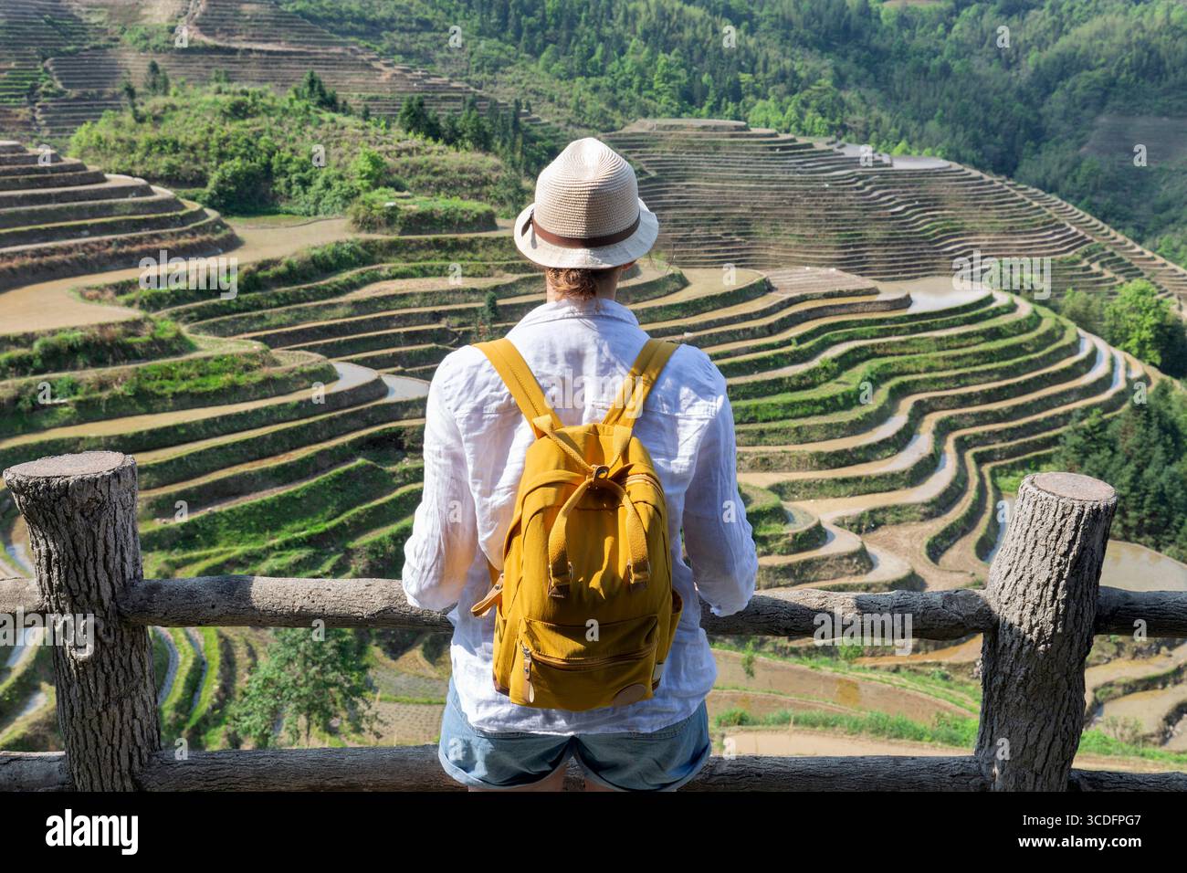 Donna che indossa un cappello sulla terrazza del campo di riso Foto Stock