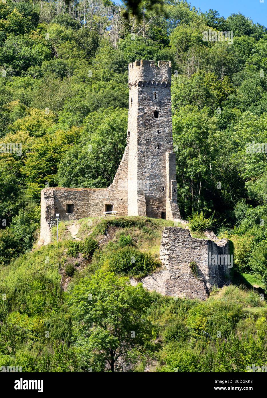 Vista delle rovine di Philippsburg a Monreal, circondato da pendii boscosi Foto Stock