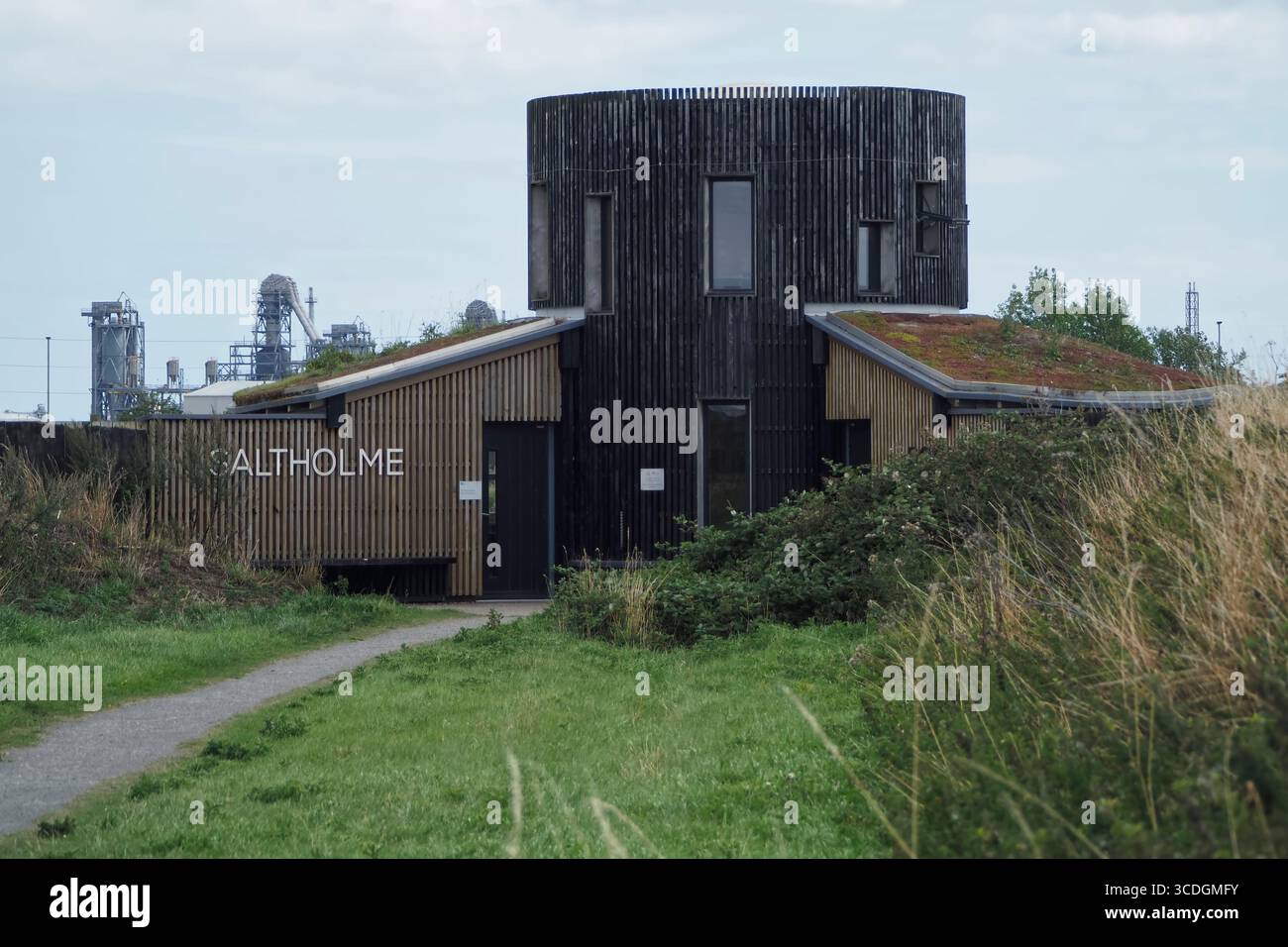 Birdwatching nascosta presso RSPB, Saltholme Nature Reserve, Cleveland, Inghilterra, Regno Unito Foto Stock