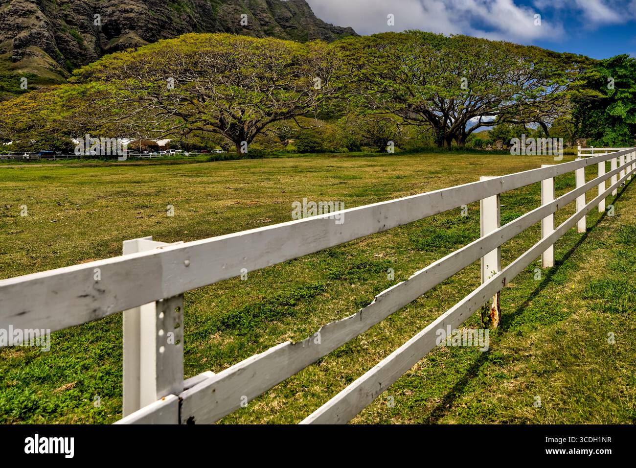 Scenario delle foreste e delle vicine rive del Kualoa Ranch, famoso per le scene di Jurassic Park e molti altri film Foto Stock