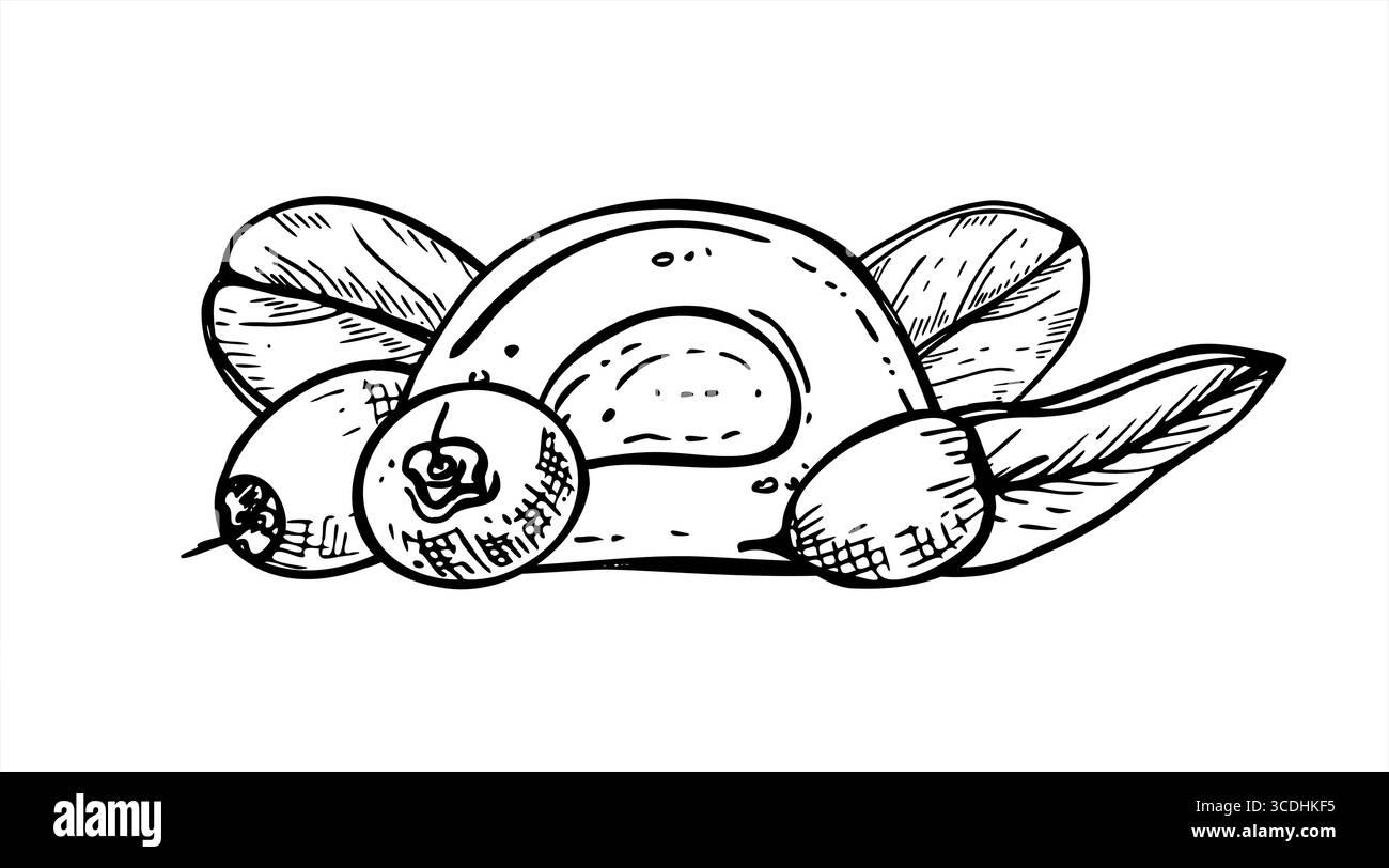 Illustrazione isolata del vettore della torta di riso mochi a metà con frutti di bosco. daifuku giapponese con disegno di mirtilli rossi incisi. Taglio di wagashi con crema per dessert Illustrazione Vettoriale