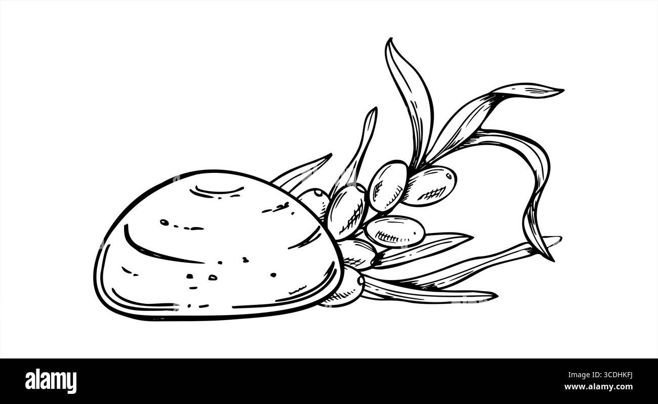 Mochi giapponese monocromatico disegnato a mano con illustrazione vettoriale del spinoso marino. Ramo di bacche di torbiera salata del Baltico e arte della linea di caramelle Illustrazione Vettoriale