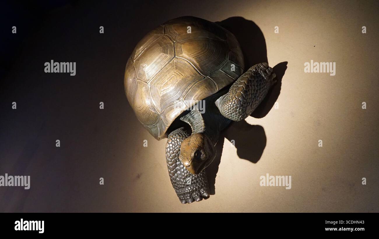 tartaruga gigante, scultura tartaruga, scultura rettile, mostra museo, arte della fauna selvatica, mostra museo, tartaruga gigante, statua animale, mostra educativa, tartaruga Foto Stock