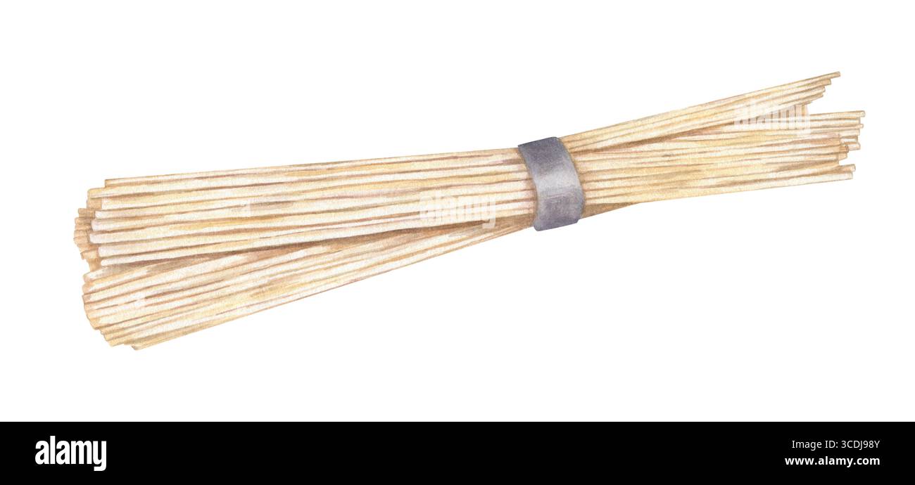 Fascio di spaghetti di ramen crudi legati con illustrazione ad acquerello di carta su sfondo isolato. Pile dipinte a mano di pasta di riso cruda per cibo asiatico Foto Stock