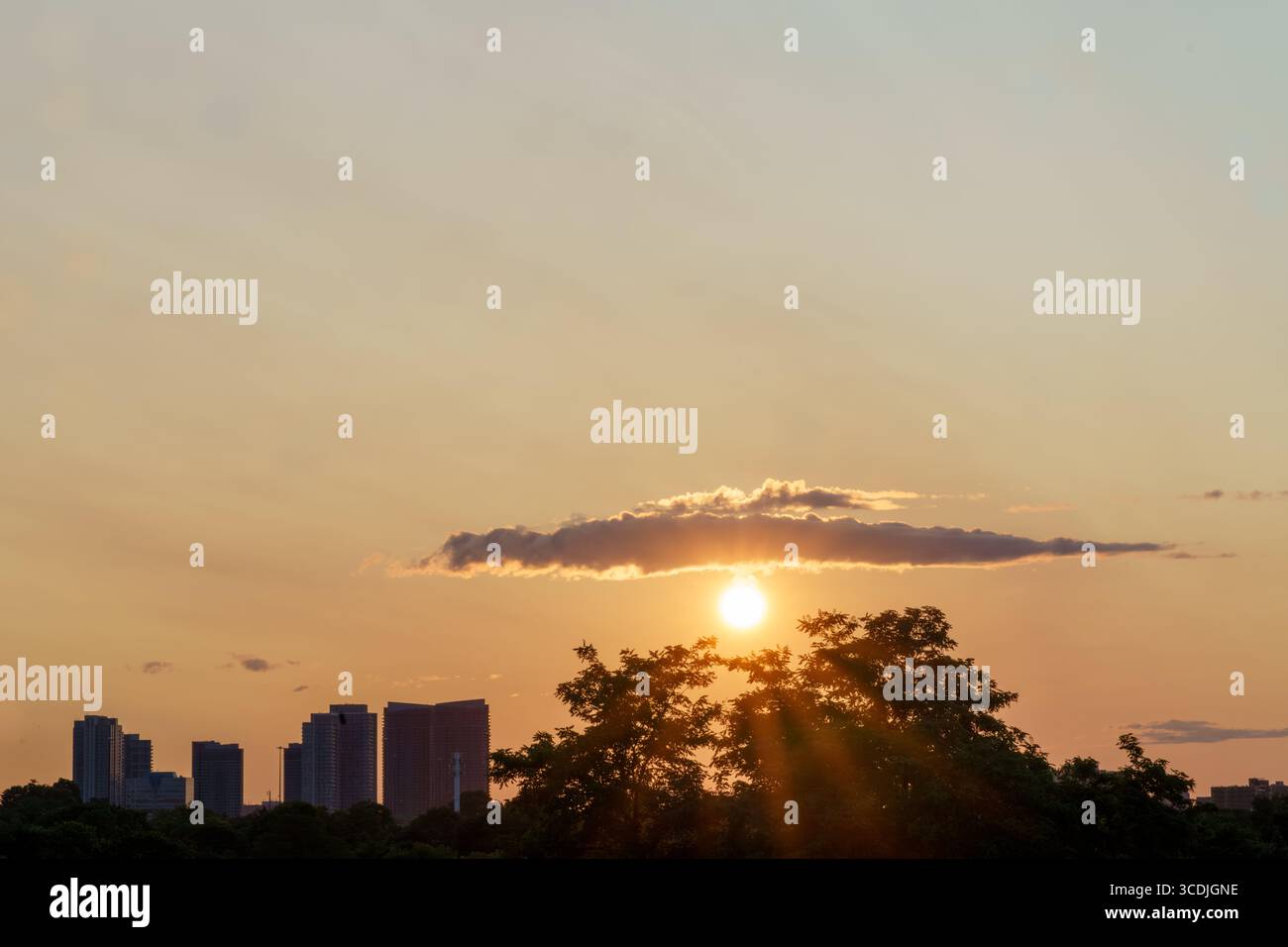 Il sole tramonta sotto una nuvola luminosa sopra un lontano skyline della città, diffondendo una calda luce sopra le sagome degli alberi. Foto Stock