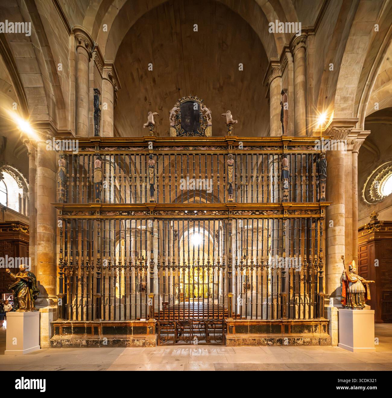 Questo coro del XVI secolo nella Collegiata Church di Toro mostra splendide opere in metallo, dividendo lo spazio sacro con eleganza. Foto Stock