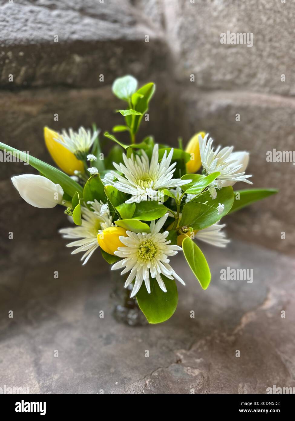 Giallo luminoso e bianco splendido allestimento floreale primaverile su davanzale della chiesa. Tulipani bianchi e gialli mescolati con crisantemi bianchi. - Immagine stock catturata con smartphone