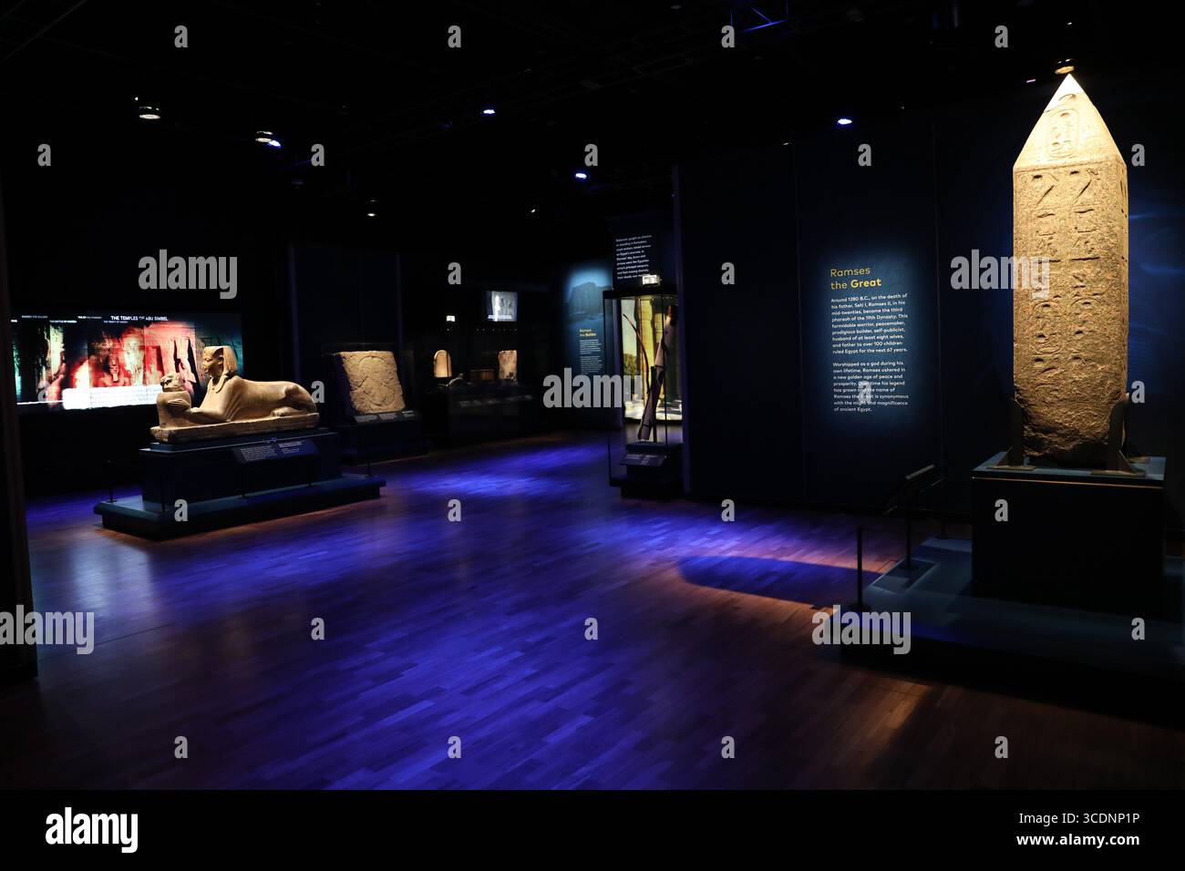 16 novembre 2023: Sala espositiva durante l'anteprima della mostra "Ramses & the Gold of the Pharaohs" presso l'Australian Museum il 16 novembre 2023 a Sydney, Australia (Credit Image: © Christopher Khoury/Australian Press Agency via ZUMA Wire) Foto Stock