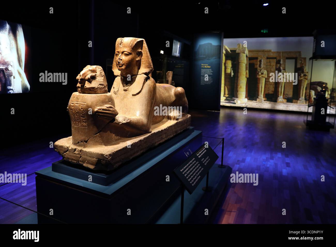 16 novembre 2023: Statua di Ramses II come Sfinge durante una mostra in anteprima di "Ramses & the Gold of the Pharaohs" presso l'Australian Museum il 16 novembre 2023 a Sydney, Australia (Credit Image: © Christopher Khoury/Australian Press Agency via ZUMA Wire) Foto Stock