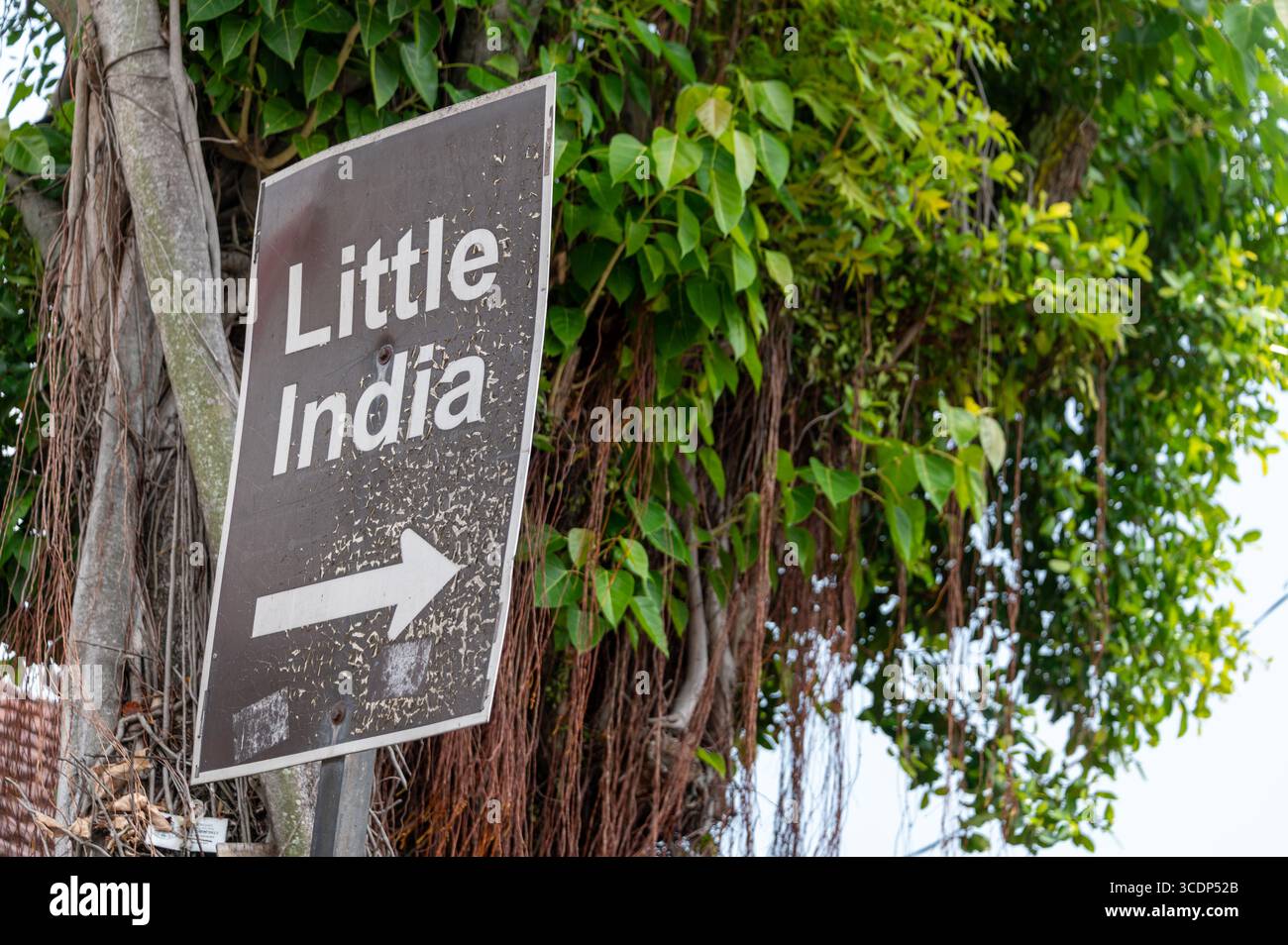 Un cartello stradale, Little India a George Town a Penang, Malesia. Little India è un'enclave etnica indiana situata nel centro di George Foto Stock