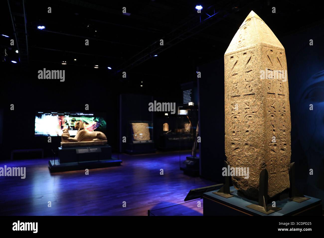 16 novembre 2023: Sala espositiva durante l'anteprima della mostra "Ramses & the Gold of the Pharaohs" presso l'Australian Museum il 16 novembre 2023 a Sydney, Australia (Credit Image: © Christopher Khoury/Australian Press Agency via ZUMA Wire) Foto Stock