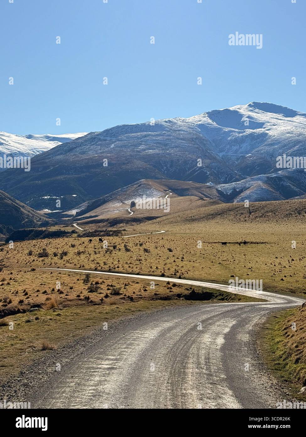 Scenografica strada di ghiaia che si snoda attraverso terreni agricoli aridi di alta campagna verso montagne innevate sotto un cielo azzurro limpido nella nuova Zelanda rurale - Immagine stock catturata con smartphone
