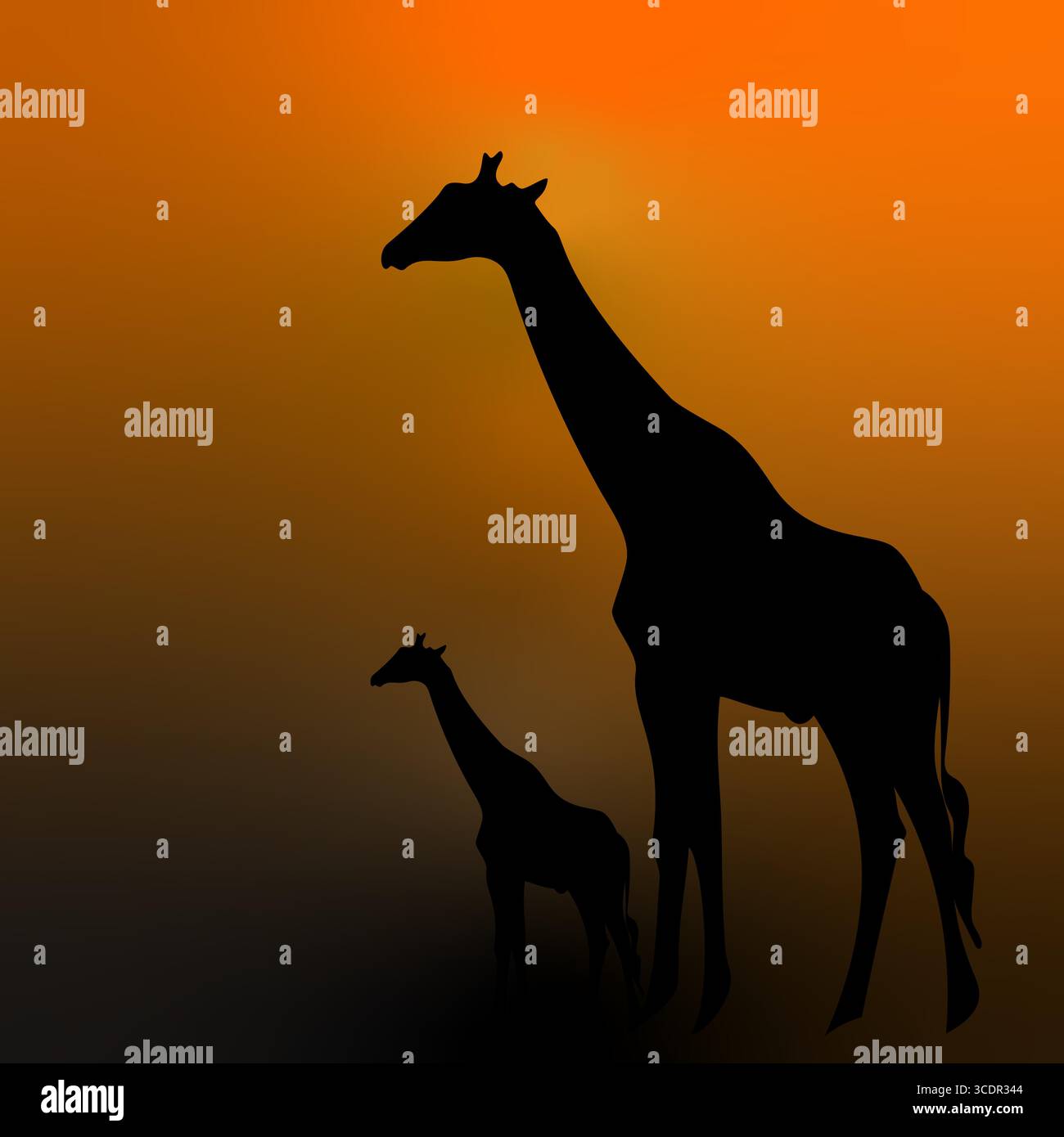Illustrazione delle sagome della giraffa. Due figure animali. Il vettore africano del tramonto. Natura selvaggia. Illustrazione Vettoriale