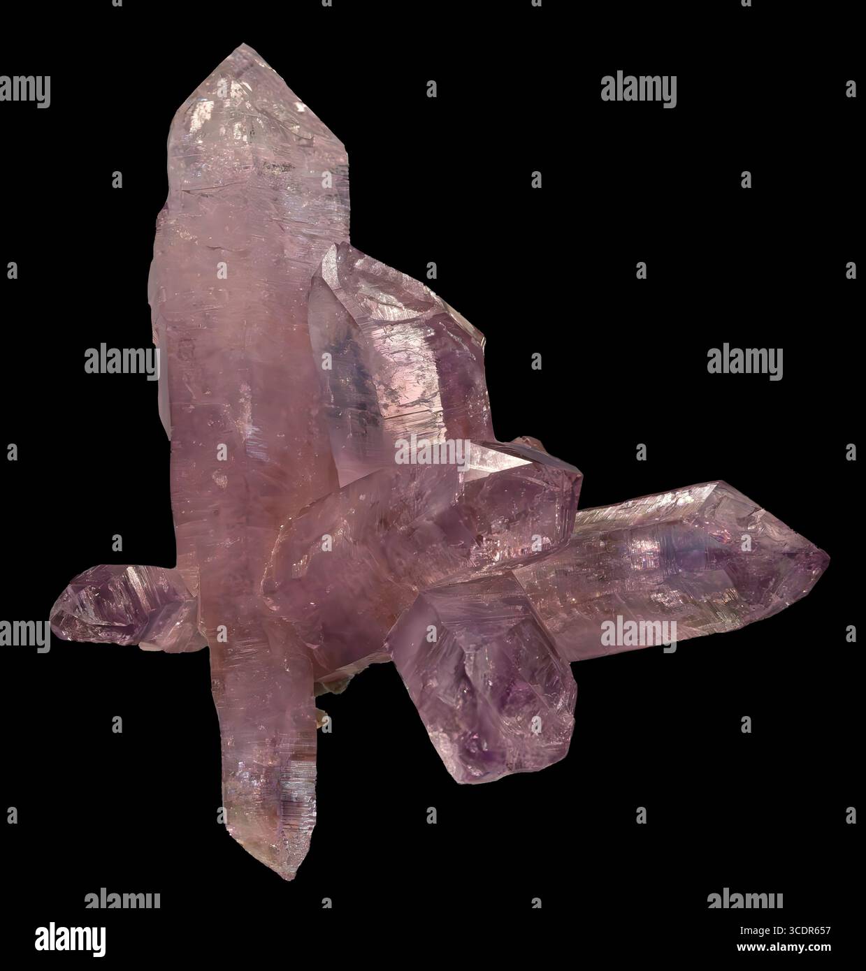 Quarzo, ametista di varietà (SiO₂), Piedra Parada, zona Las Vigas, Veracruz, Messico Foto Stock