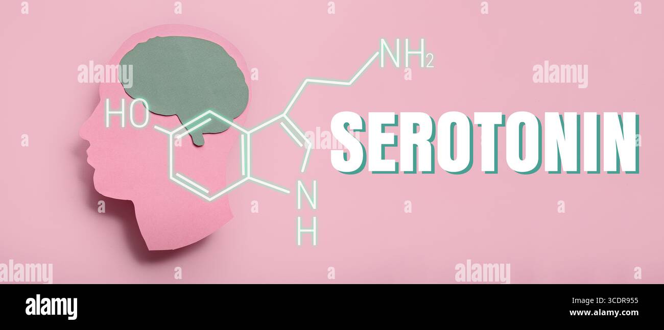 Carta testa umana con cervello e formula chimica strutturale della serotonina su sfondo rosa Foto Stock