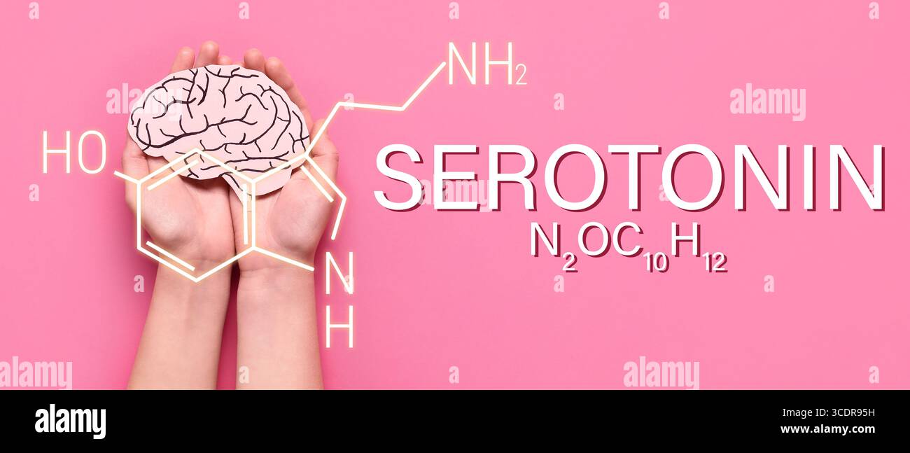 Mani con cervello di carta e formula chimica strutturale della serotonina su sfondo rosa Foto Stock