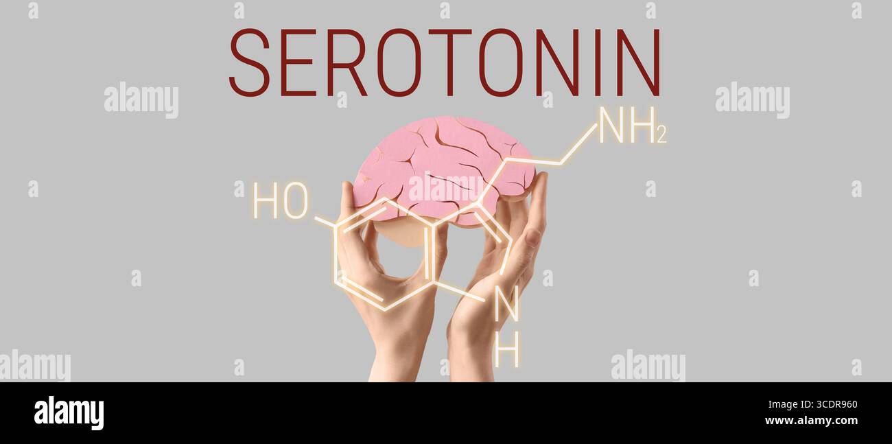 Mani con cervello di carta e formula chimica strutturale della serotonina su sfondo grigio Foto Stock