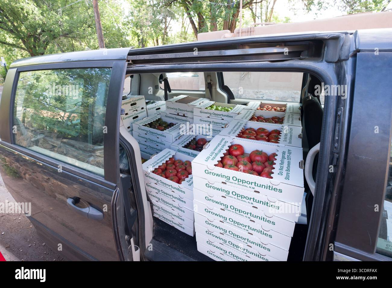 Scatole di cartone riempite con prodotti freschi in furgone per la consegna, Santa Fe, New Mexico, Stati Uniti Foto Stock