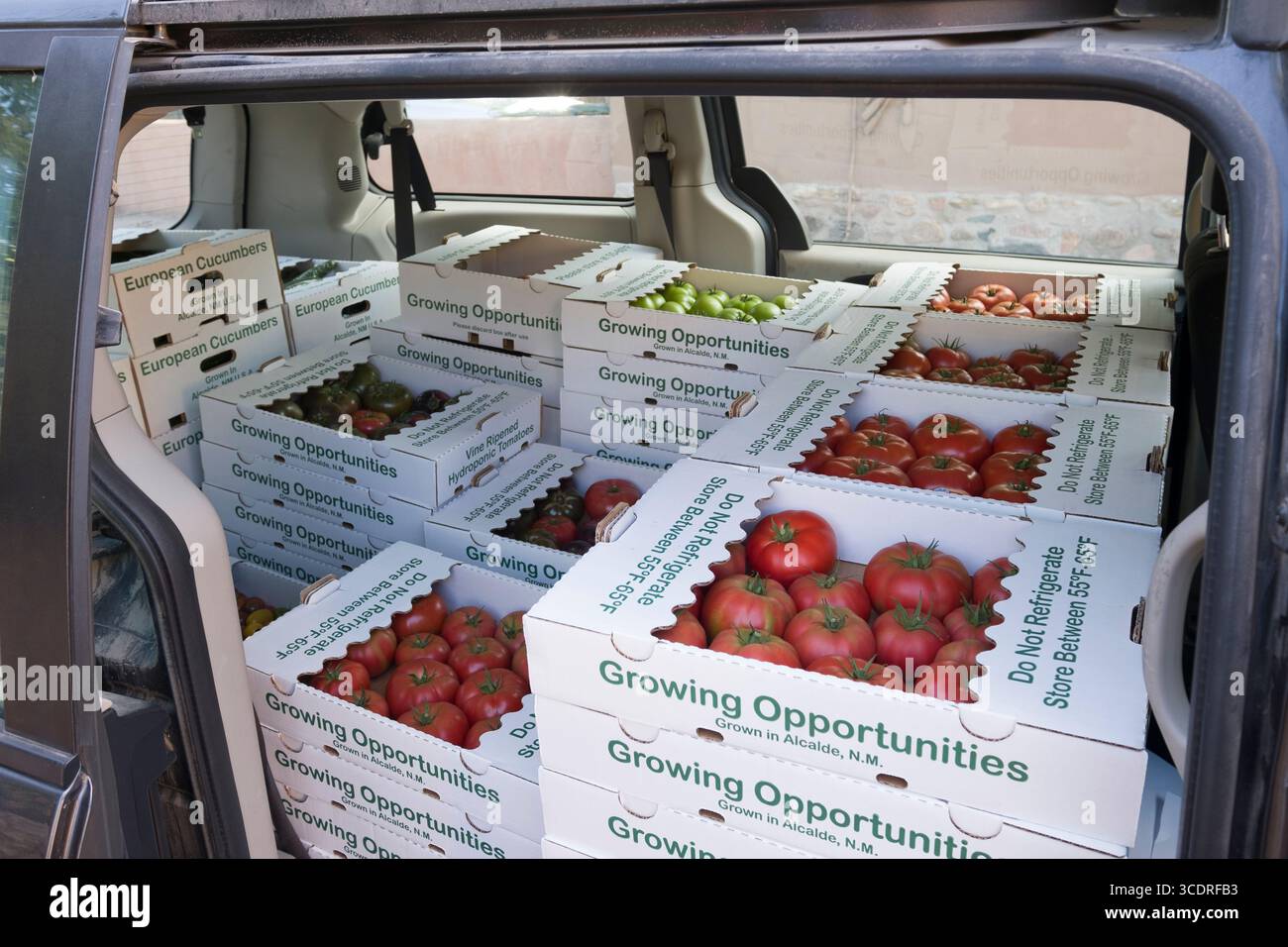 Scatole di cartone riempite con prodotti freschi in furgone per la consegna, Santa Fe, New Mexico, Stati Uniti Foto Stock